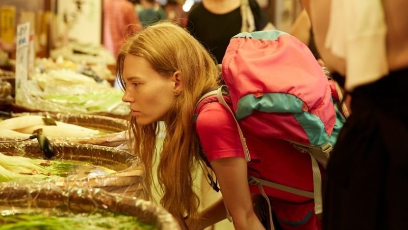 Türkiye’nin En Lezzetli Gastronomi Rotaları: Lezzet Peşinde Bir Yolculuk